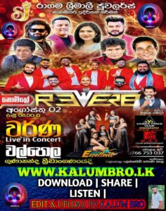 BANDARAGAMA REVERB LIVE IN WALPOLA 2025-08-02